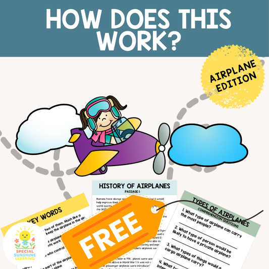 "Airplane Mechanics" Reading Passages & STEM Comprehension Activities: FREEBIE
